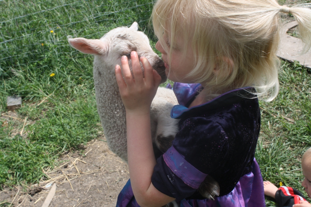 Kissing the Lamb